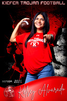 Print Ready Senior Banners posters